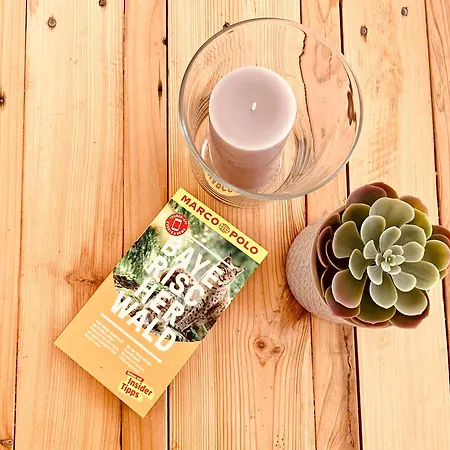 Gemuetliches Mit Fernblick Kamin Balkon アパート ツヴィーゼル